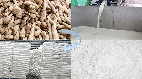 cassava cutting and crushing machine for cassava starch extraction process