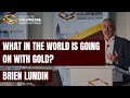 What in the world is going on with gold  brien lundin