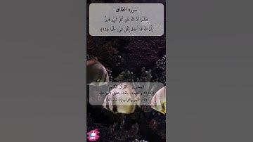 الله الذي خلق سبع سماوات ومن الأرض مثلهن | سورة الطلاق #دعاء_ورسالة