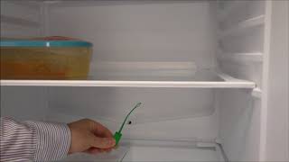 Water on shelf in fridge and smelly fridge?