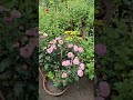 #nursery