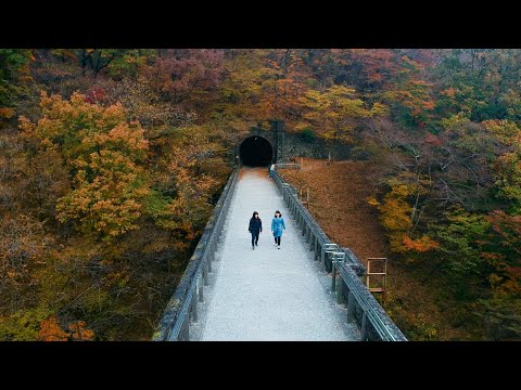 【JR東日本】コンセプトムービー「高崎エリア」