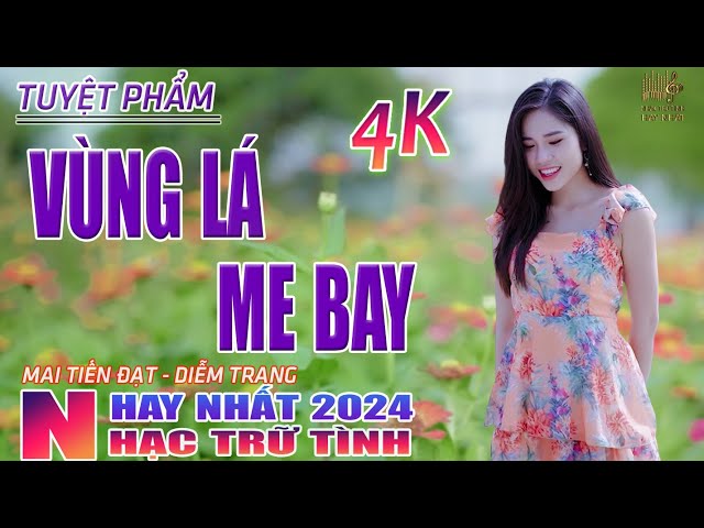 Vùng Lá Me Bay, Người Tình Không Đến🛑 Nhạc Trữ Tình Hay Nhất 2024 - Lk Bolero Nhạc Vàng Xưa Bất Hủ class=