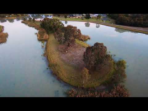 Parrot Bebop 2 follow mode,POI and magic dronies...awesome!!! Is freeflight pro better than dji?