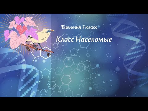 Биология 7 кл Пасечник §46 Класс Насекомые