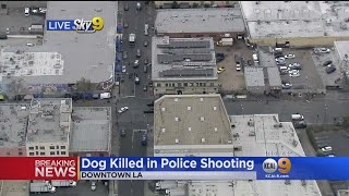 Dog Fatally Shot By Officer After Attacking Male In Downtown LA