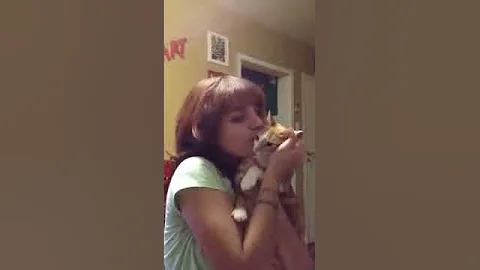 Squeezy kitty