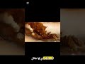 سحلية بتشرب من جلدها ومش بتهزر