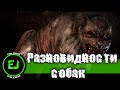 [Разновидности псевдопса]  S.T.A.L.K.E.R