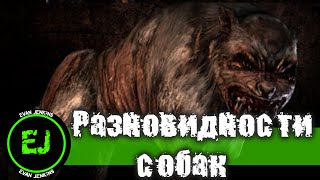 [Разновидности псевдопса]  S.T.A.L.K.E.R