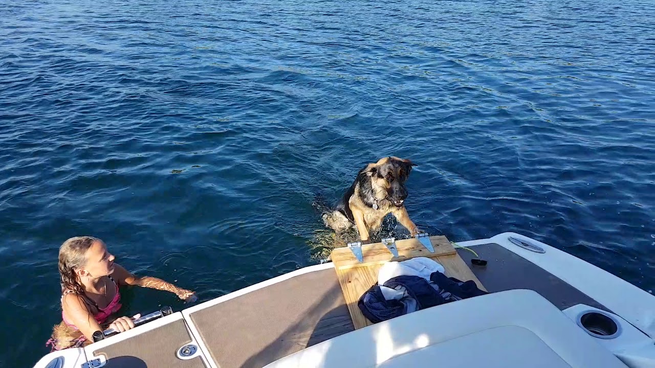 Dog boat ramp / platform Custom made. Example 2 YouTube