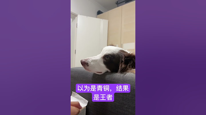 以为主人是个青铜，结果是王者