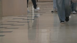 Mandatory reporting: What does the law say about reporting child abuse?