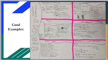 One Pagers Explained