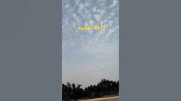 سوره ال عمران بصوت الشيخ ماهر المعيقلي راحه نفسيه