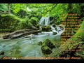 4k music for zen meditation with nature sound its magical