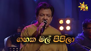 Gahaka Mal Pipila | ගහක මල් පිපිලා  | Karunarathna Divulgane | Hiru Unplugged