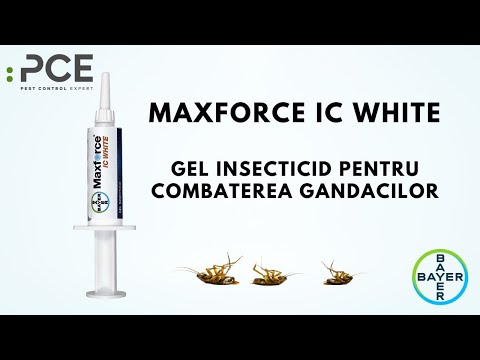 MaxForce IC Gel, Bayer, insecticid gel pentru gandaci de bucatarie, gandaci  de canalizare - YouTube