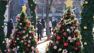 How To Recycle A Christmas Tree