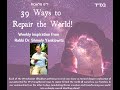 39 Ways to Repair the World - Class 38: Makeh b&#39;Patish - Rabbi Dr. Shmuly. Yanklowitz