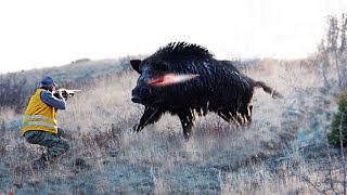 TOP 100 KILLING BLOWS! Best Wild Boar Hunts Compilation -SPECIAL SERIES-1