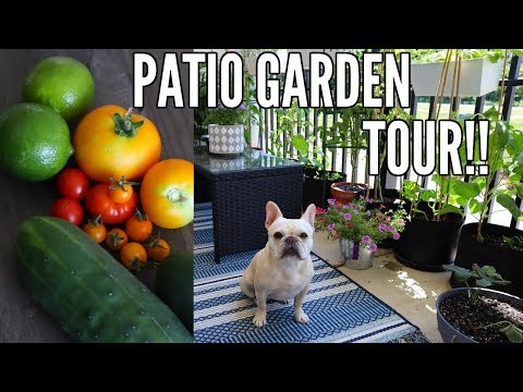 garden-tour-2018-|-small-space-patio-garden-tour---growing-in-containers!!