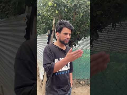 Wait For End 🤣🤣🤣 #funny #comedy #funny #jokes #youtubeshorts #viralvideo #subscribemychannel