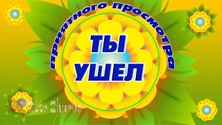 КРАСИВОЕ ВИДЕО   Ты ушел