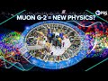 Understanding the Muon g-2 Experiment