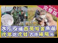 【苗栗】討海人｜史上最貴鰻苗煎蛋 白金鰻魚苗爆發/巨無霸馬蹄蛤/古早虎皮蛙/新竹百年手工煎餅《世界第一等》1034集完整版 1034集完整版Taiwan Full EP. 1034  EngSub鱸鰻