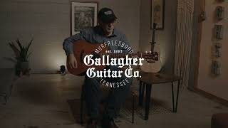 An introduction to the Gallagher G 60 model