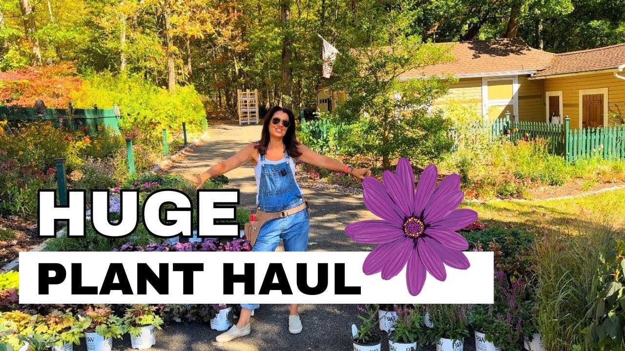 Unboxing a HUGE Plant Delivery of Perennials🌻 Plant Labels and Details