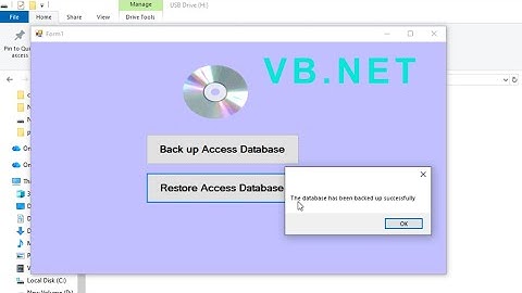 Visual Basic net: back up and restore Microsoft access database in visual studio 2022