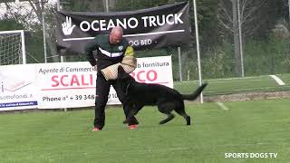 Kocova Karolina Fase C 91 Punti Trofeo Enci 2025 - Sports Dogs - Il Meraviglioso Mondo Delligp.