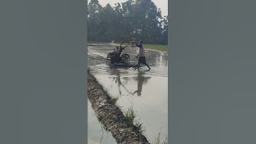 Tree straightness polishing process- Good tools and machinery make work easy