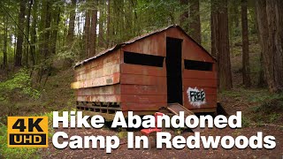 Walk Through a Dark Redwood Forest to a Spooky Abandoned Summer Camp.