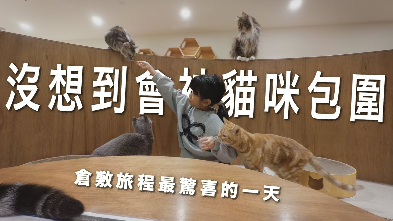 沒想到會被貓咪包圍！倉敷旅程最驚喜的一天 | 倉敷 | Kurashiki | Ario｜貓咪咖啡 | 日本自由行 | 親子旅遊 | 記得開啟CC字幕