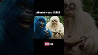 Non j’ai trouver quelque chose !! #animaux #monkey #blague #amis #ias #foret #foret