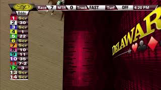 Vidéo de la course PMU MAIDEN SPECIAL WEIGHT