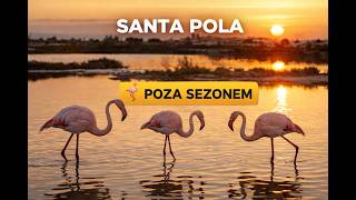 Flamingi poza sezonem? | Santa Pola zimą screenshot 5