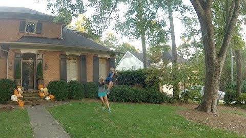 Piedmont Tree Climbing - How to install a great tree swing safely