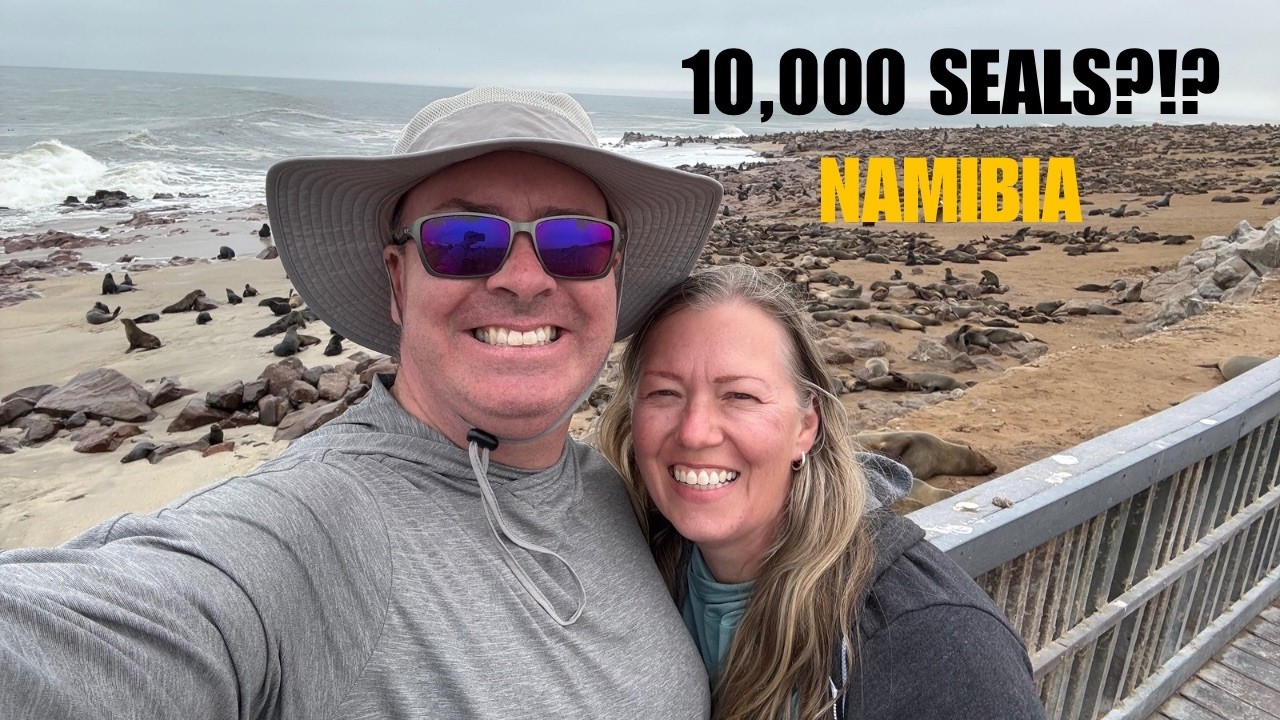 Cape Cross Seal Colony – What It’s Really Like Visiting Namibia’s Largest Seal Colony