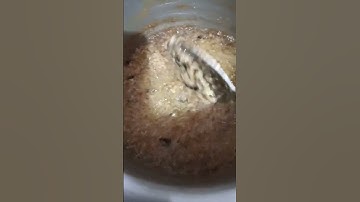 Thumbnail of dum song # ghee making process # Jacqueline Fernandes hit song # trending # viral # yt