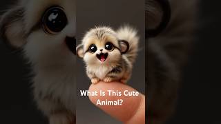 What Is This Cute Animal? You Won't Believe What It Is! #cute #fluffy #tiny #adorable #shorts #viral