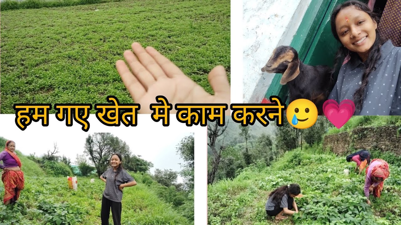 खेत मे किया काम 😍।। हमारे घर मे आया बाघ🐅😬@dikshu_vlogs 