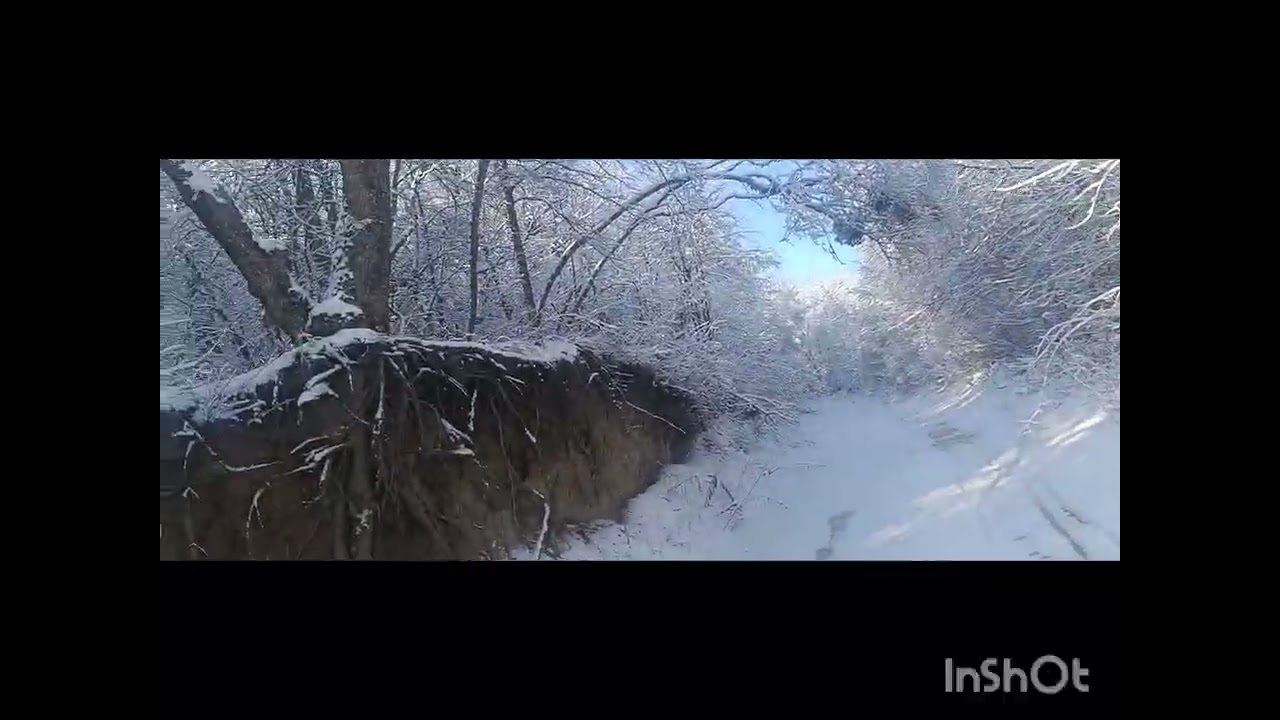 Чем топят печи в Украине 