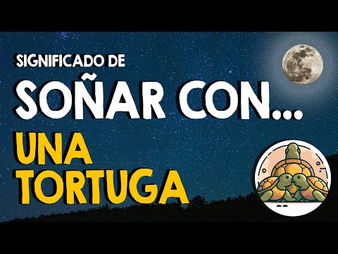 ¿Qué significa soñar con una tortuga? 🐢 Soñar con tortugas 🐢