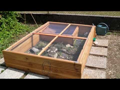 Video: Giardini e tartarughe - Creazione di un giardino o di uno stagno per tartarughe all'aperto