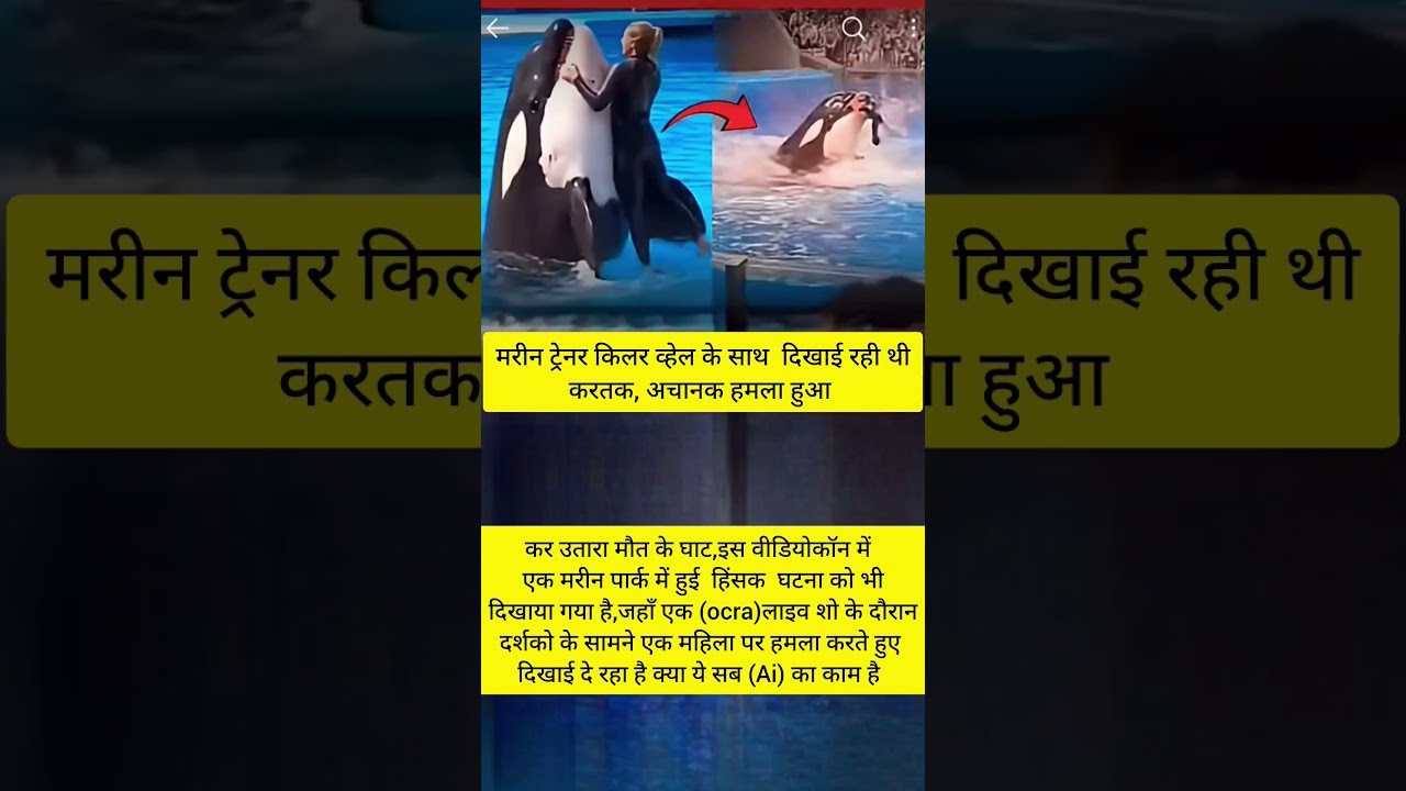 Marine Trailer Aur Killer Whale Love Subscribe