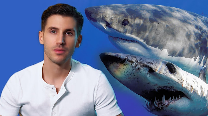 Nagy fehér cápa vs. Makócápa 🦈